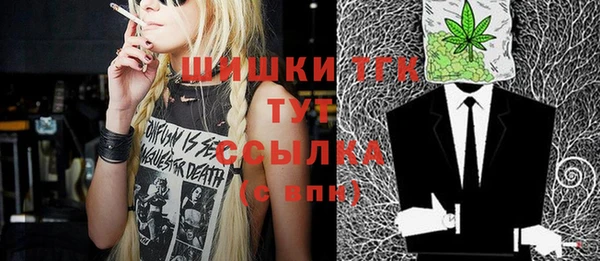 spice Белокуриха