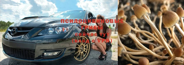 spice Белокуриха