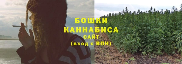прущие крисы Богородск