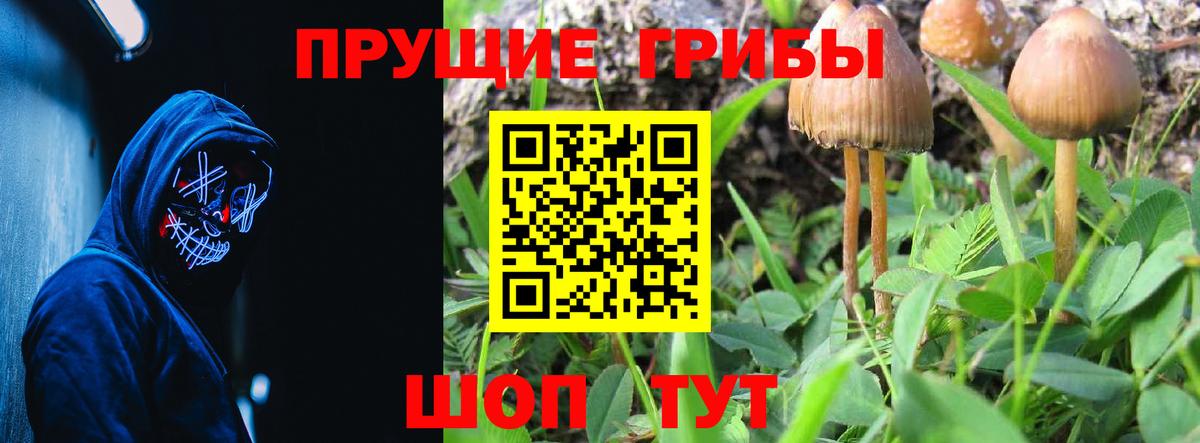 Псилоцибиновые грибы MAGIC MUSHROOMS  Вход с VPN  что такое   Псилоцибиновые грибы ЛСД  Воркута 